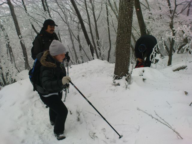 Boč 29.01./12.02.2011. - foto