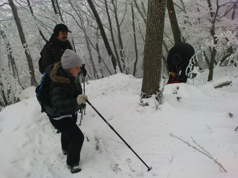 Boč 29.01./12.02.2011. - foto povečava