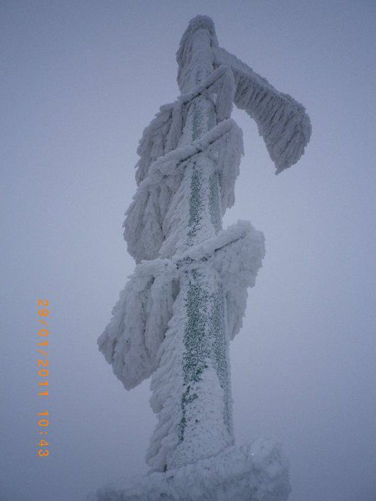 Boč 29.01./12.02.2011. - foto povečava