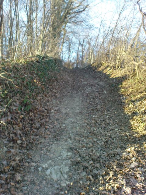 Gradišča - Pohorje v Halozah/06.02.2011 - foto