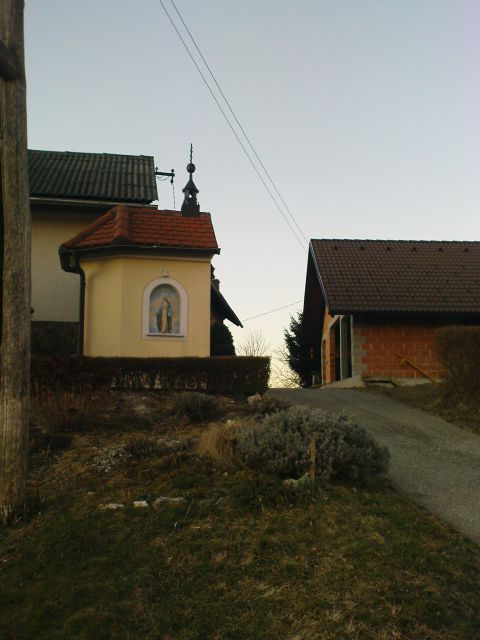 Gradišča - Pohorje v Halozah/06.02.2011 - foto