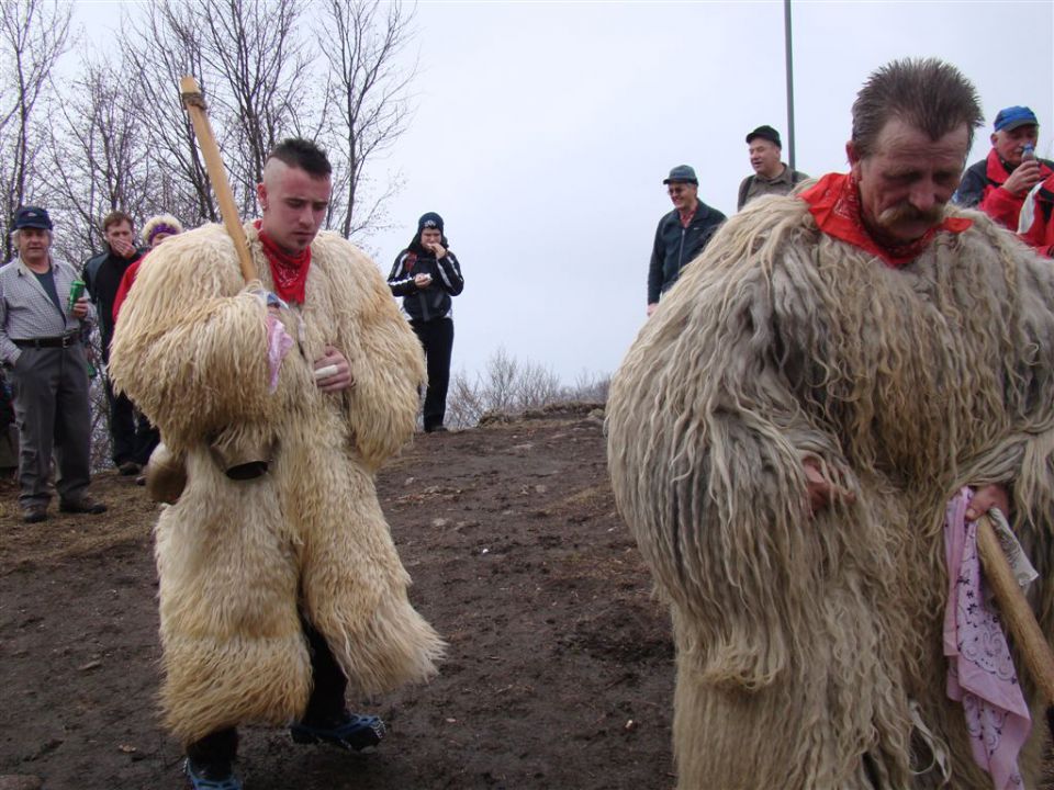 Bejži zima,korant gre! 20.02.2011 - foto povečava