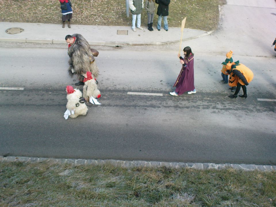 Fašenk v Cirkulanah 5.3.2011 - foto povečava