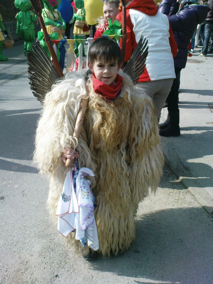 Fašenk v Cirkulanah 5.3.2011 - foto povečava