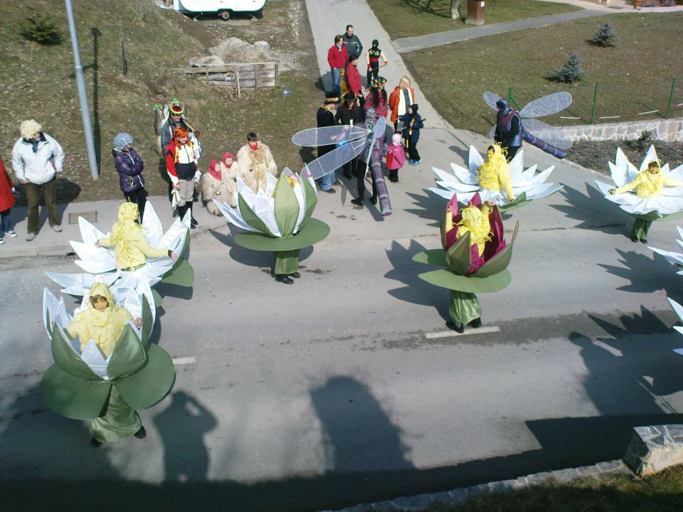 Fašenk v Cirkulanah 5.3.2011 - foto povečava