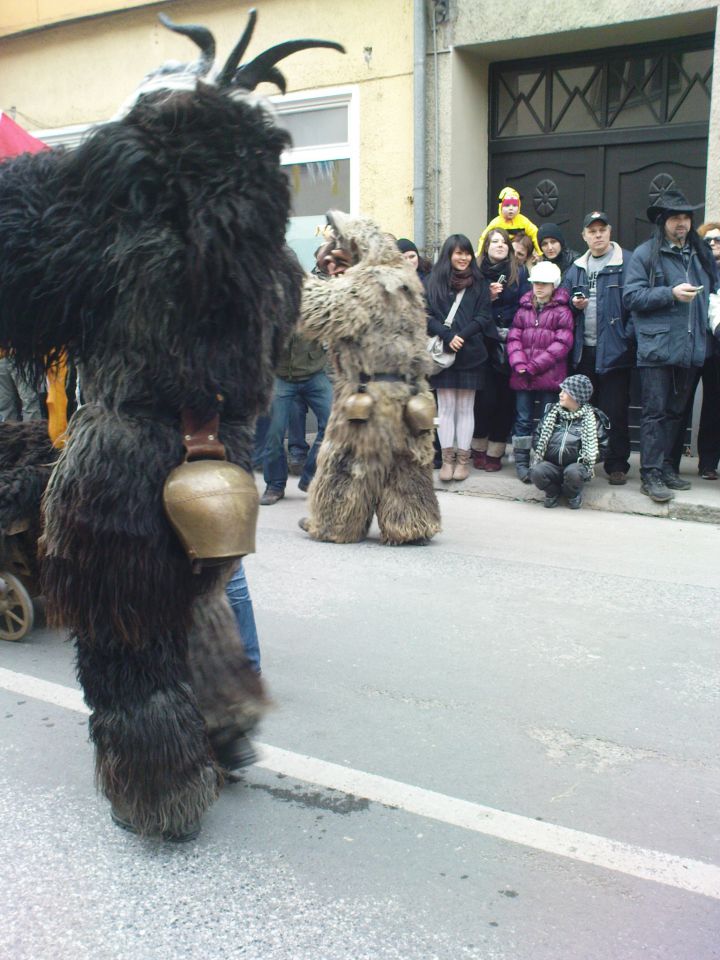 Karneval na ptuju 06.03.2011 - foto povečava