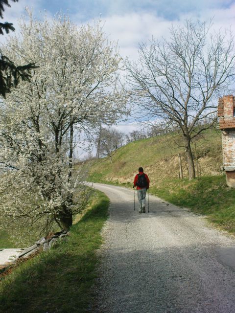 Cvetoča cesta...