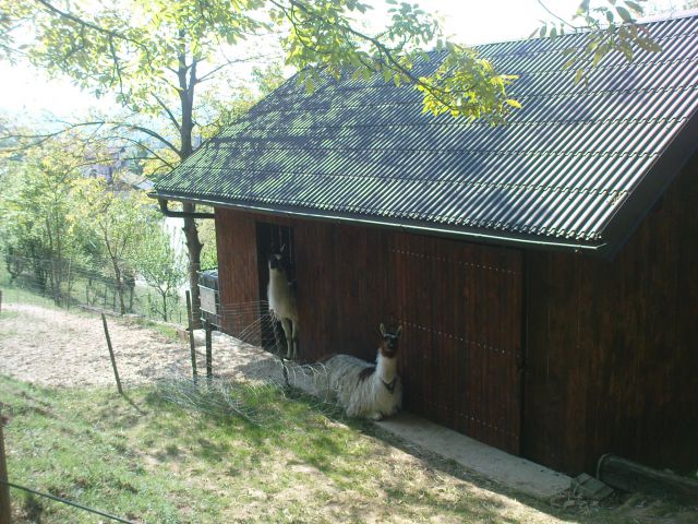 Pohod Gradišča - Ptujska gora 23.4.2011 - foto