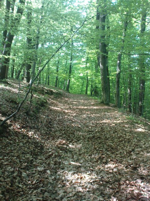 Pohod Gradišča - Sv.Avguštin 24.4.2011 - foto