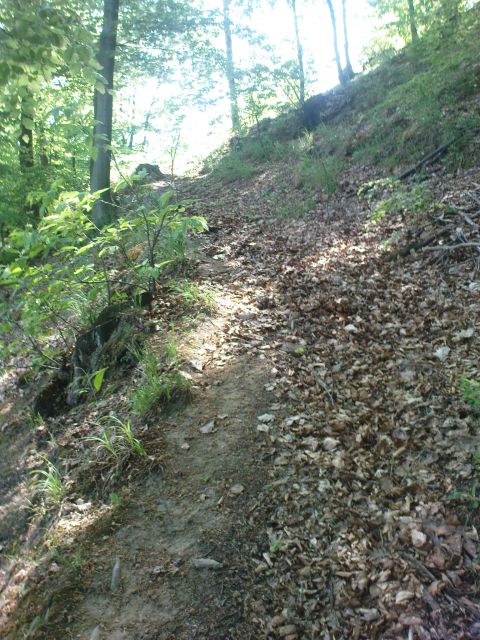 Pohod Gradišča - Sv.Avguštin 24.4.2011 - foto