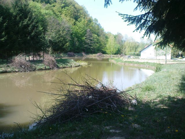 Pohod Gradišča - Sv.Avguštin 24.4.2011 - foto