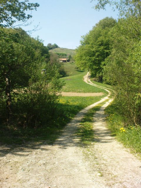 Pohod Gradišča - Sv.Avguštin 24.4.2011 - foto