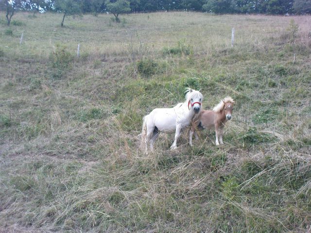 Pohod Janški vrh-Donačka gora /30.07.2011 - foto