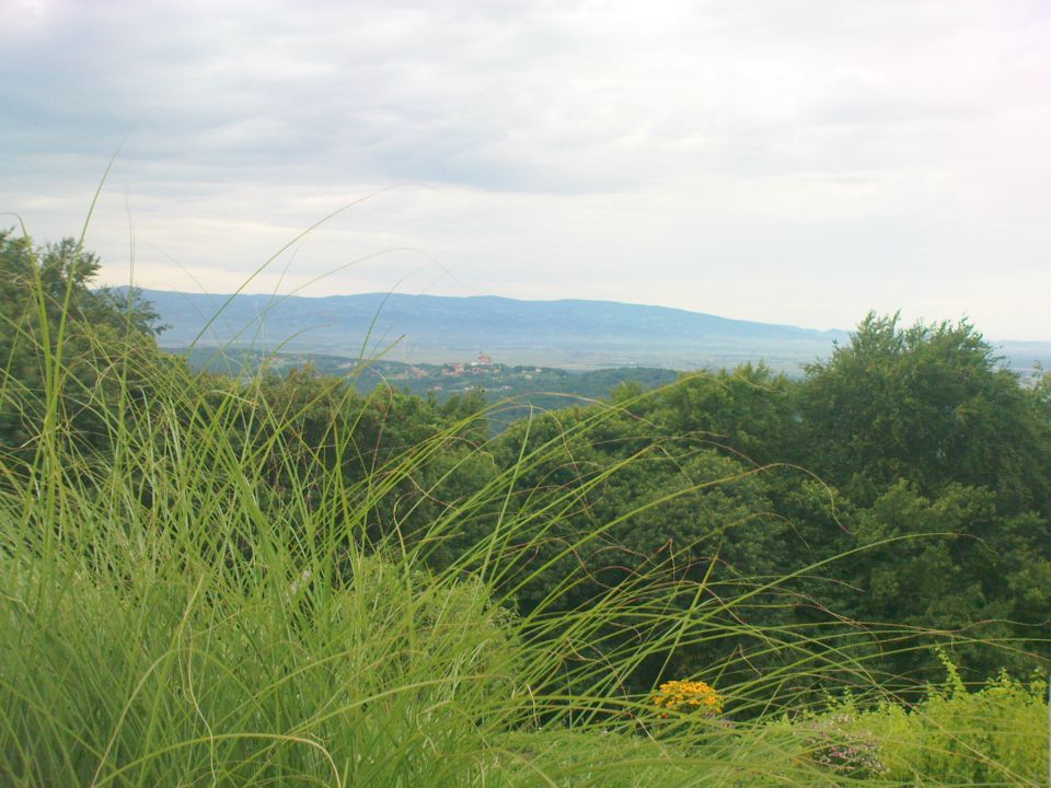 pogled z Janža na baziliko na Ptujski gori