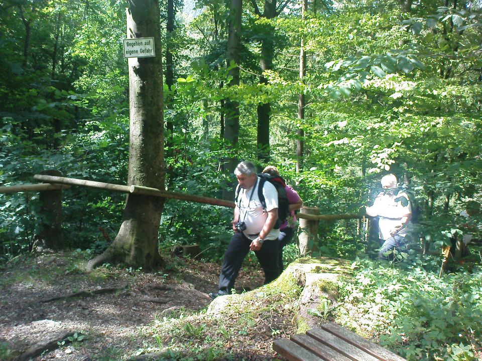 Heiningen -Nemčija 05.08.11. - foto povečava