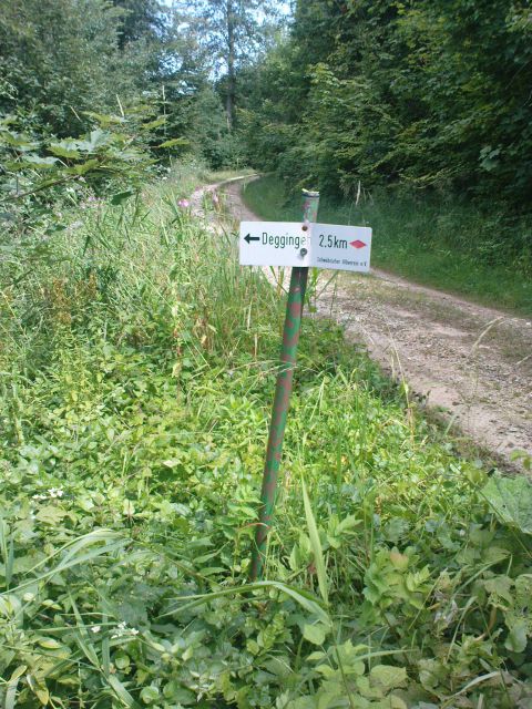 Heiningen -Nemčija 05.08.11. - foto