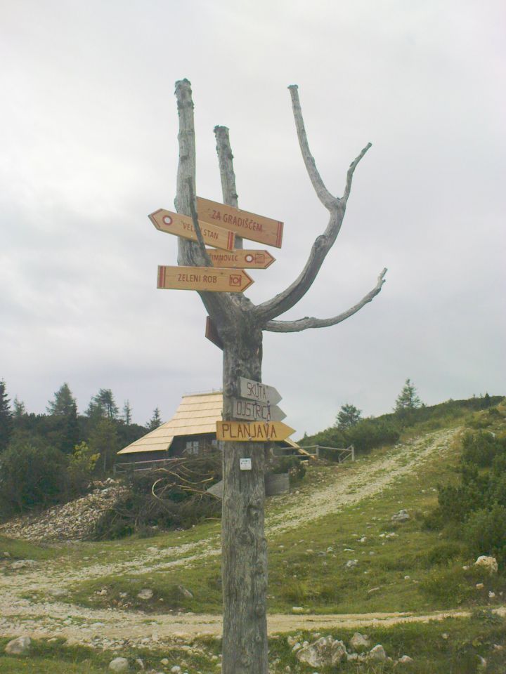 Velika planina - 13.08.2011 - foto povečava