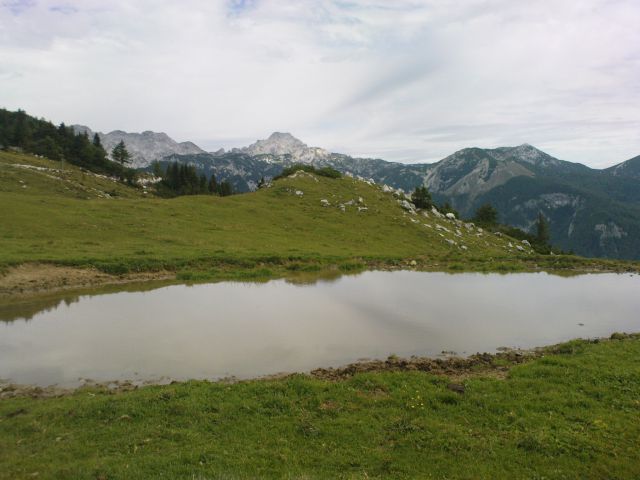 Velika planina - 13.08.2011 - foto