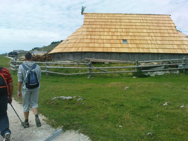 Velika planina - 13.08.2011 - foto