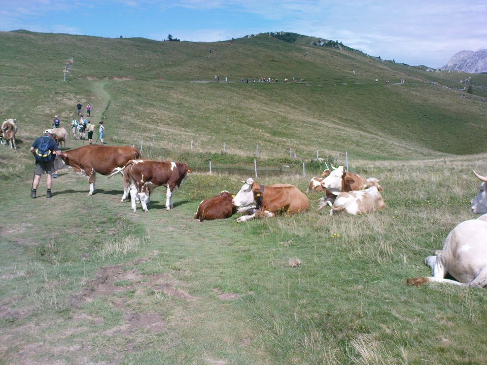 Velika planina - 13.08.2011 - foto povečava