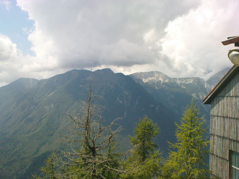 Velika planina - 13.08.2011 - foto povečava