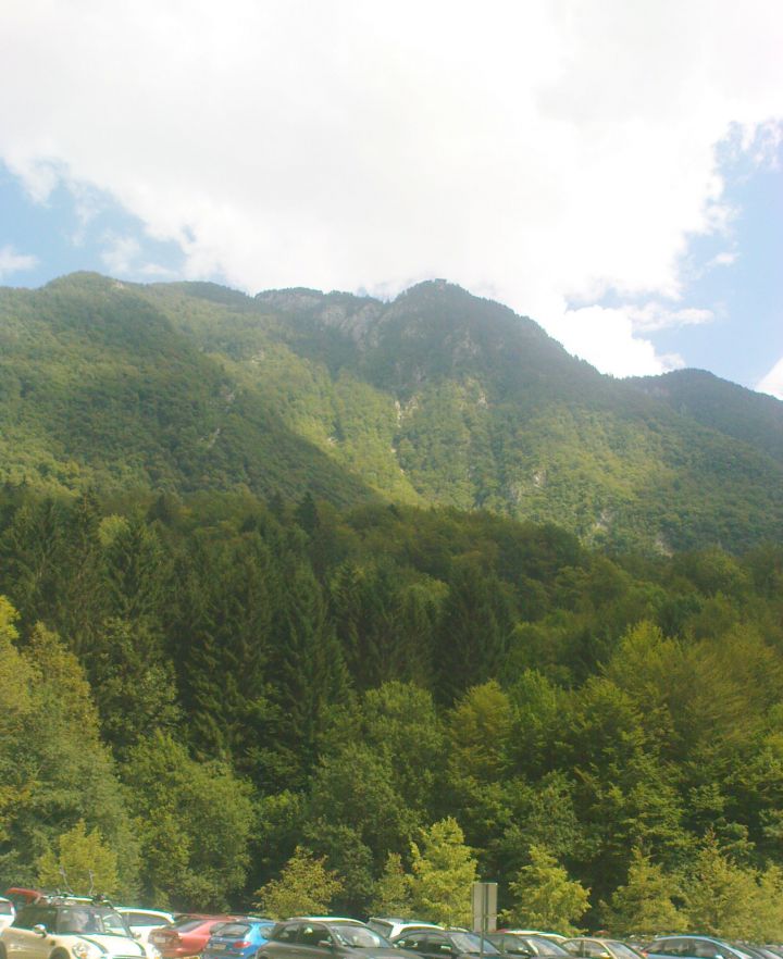 Velika planina - 13.08.2011 - foto povečava