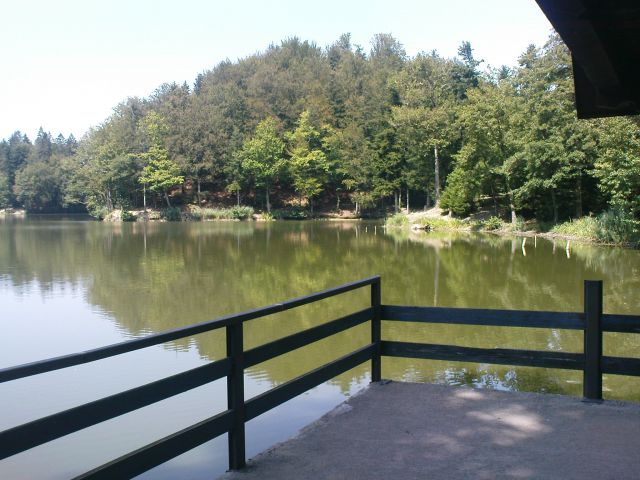 Trakoščan - 23.08.2011 - foto