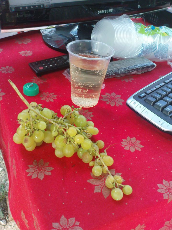 grozdje gre v vino,larindijum v vino......