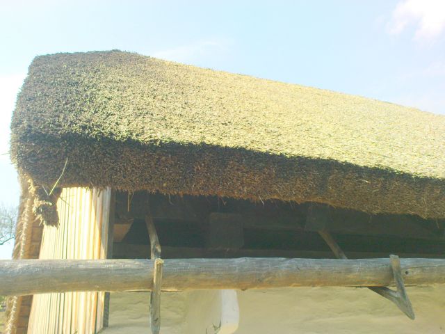 S slamo krita streha