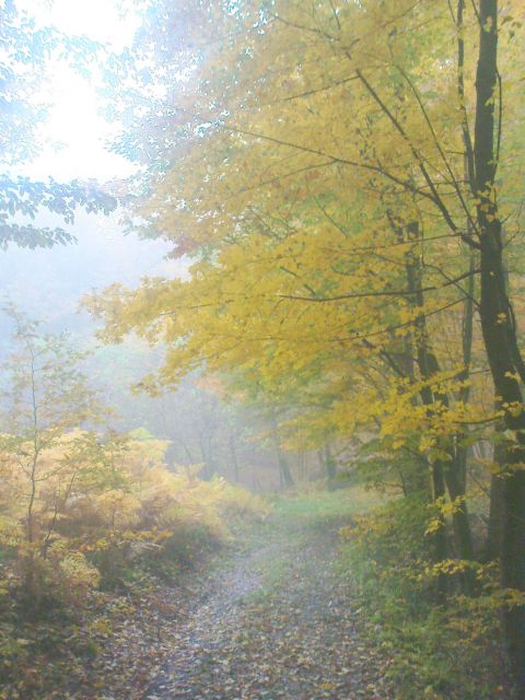 Pohod gradišča - Sv.Elizabeta / 30.10.2011 - foto