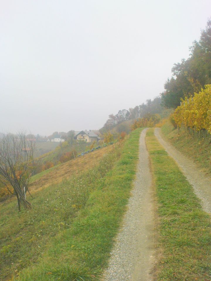 smo se podprli,zdaj proti Sv.Elizabeti