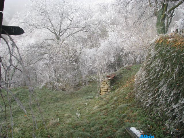 Donačka gora 27.11./ 5.11./1.11.2011 - foto