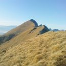 pogled nazaj