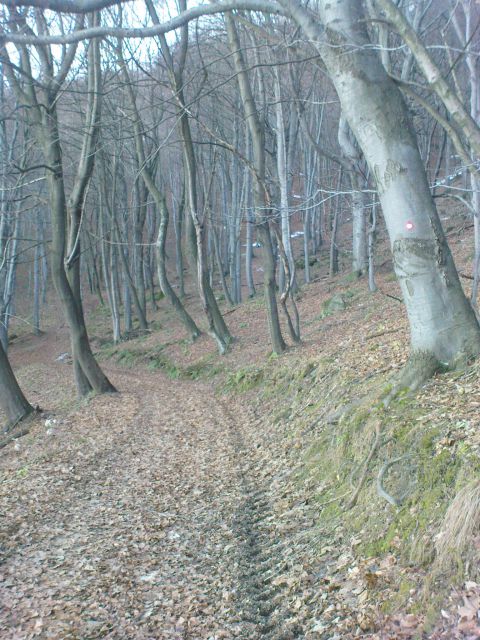 Po spodnji poti do avta in domov