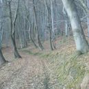 po spodnji poti do avta in domov