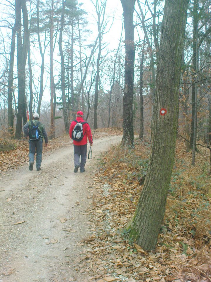 nekaj časa bomo hodili po slovenjegoriški planinski poti