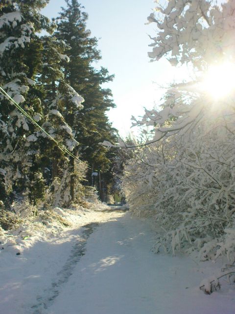 Ravna gora (CRO) - 18.12.2011 - foto