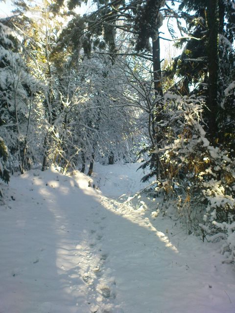 Spust v dolino po globokem snegu