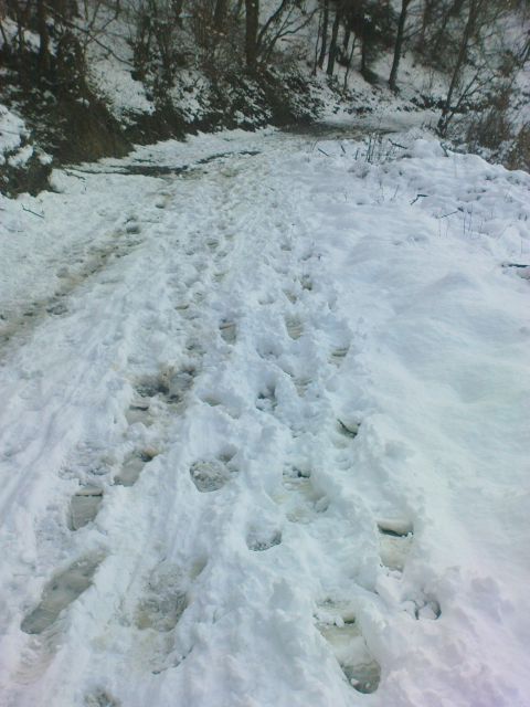 Ravna gora (CRO) - 18.12.2011 - foto
