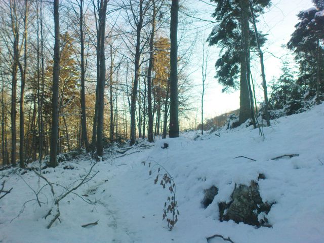 Ravna gora (CRO) - 18.12.2011 - foto