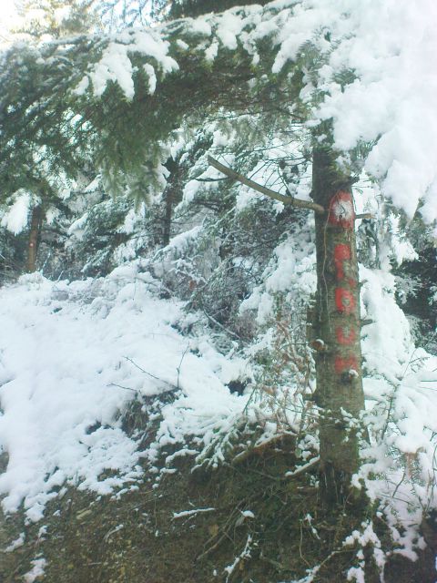 Ravna gora (CRO) - 18.12.2011 - foto