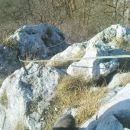 zadnji metri grejo