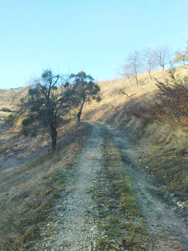 Sv.Avguštin - 07.01.2012 - foto povečava