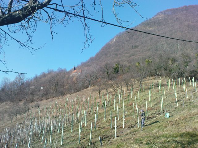 Evropska rez se nadaljuje