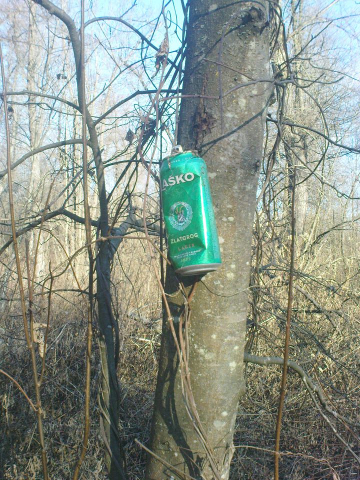 hand granate visijo po drevju