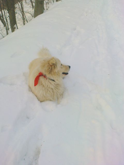 Pohod Gradišča-Repišče / 8.2.2012 - foto