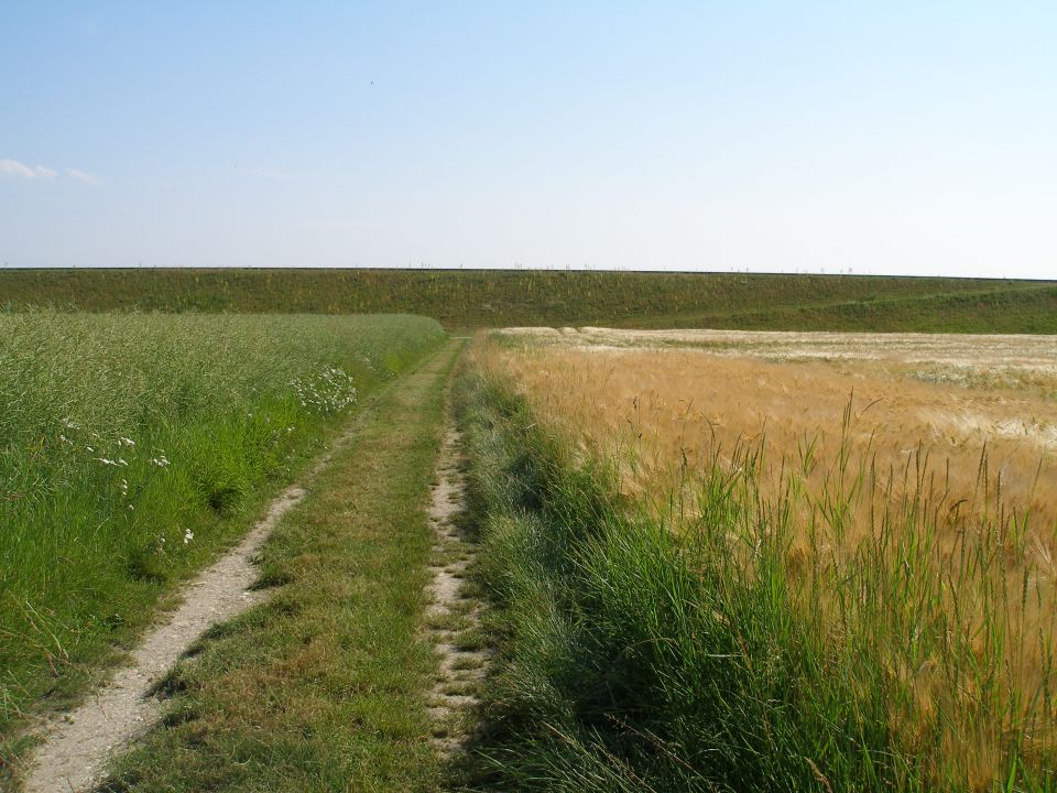 Pohod Gradišča-Ptuj / 21.02./ 8.6.2012 - foto povečava