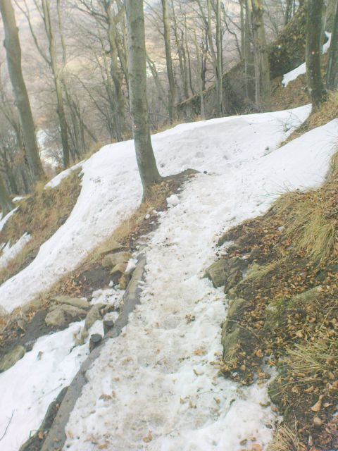 Vračam se po standardni poti,danes bila malce zoprna