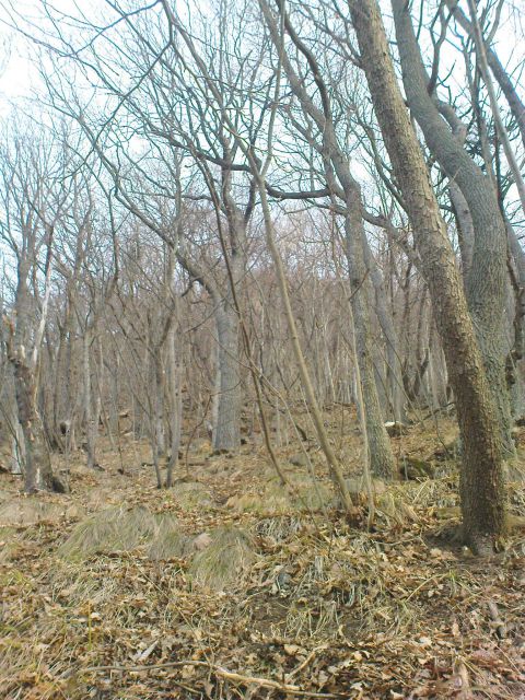 Brezpotja na donački gori/25.02.2012 - foto