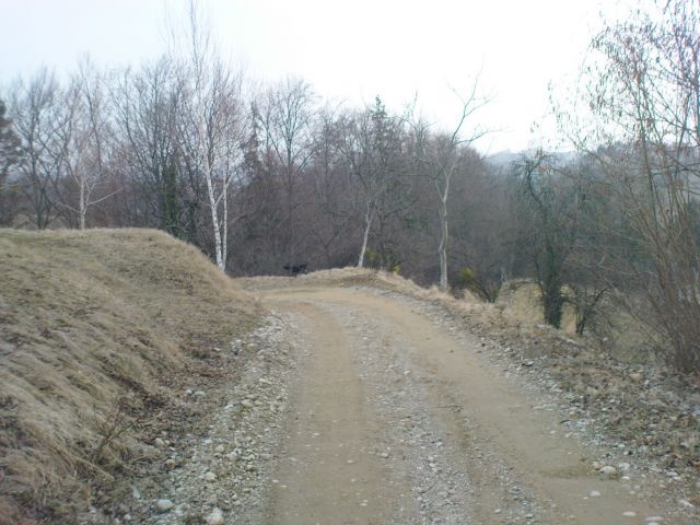 Grema že v drugi breg v Skorišnjak